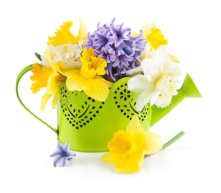 simsearch:689-03124006,k - Spring flowers in green watering can. Isolated on white background Photographie de stock - Aubaine LD & Abonnement, Code: 400-08011351