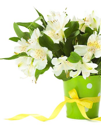 simsearch:400-08036453,k - Bouquet of alstroemeria flowers on white background Stock Photo - Budget Royalty-Free & Subscription, Code: 400-08011900