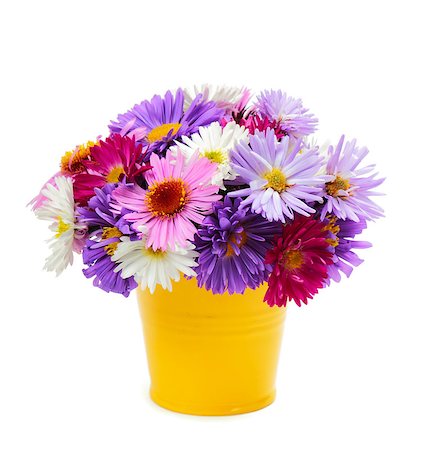 simsearch:400-08036453,k - Bouquet of multicolored asters in a bucket on white background Stock Photo - Budget Royalty-Free & Subscription, Code: 400-08011901