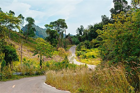 simsearch:877-08128144,k - asphalt highway in jungle, Koh Lanta Noi, Thailand Photographie de stock - Aubaine LD & Abonnement, Code: 400-08011941
