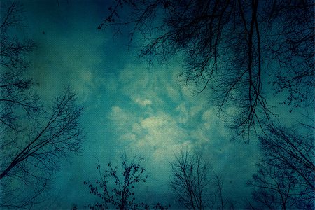 Winter leafless birch tree branches over sky, textured paper background. Fotografie stock - Microstock e Abbonamento, Codice: 400-08012112