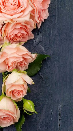 simsearch:859-03884561,k - Frame of Beauty Pink Roses with Leafs and Bud closeup on Dark Blue Wooden background Stock Photo - Budget Royalty-Free & Subscription, Code: 400-08012352