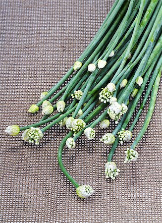 fresh green Onion Flower Stem on brown mat Stock Photo - Budget Royalty-Free & Subscription, Code: 400-08013331