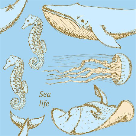 simsearch:400-08014211,k - Sketch sea creatures in vintage style, vector seamless pattern Stock Photo - Budget Royalty-Free & Subscription, Code: 400-08013646