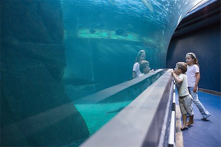 Little siblings looking at fish tank at the aquarium Stock Photo - Budget Royalty-Free & Subscription, Code: 400-08020137