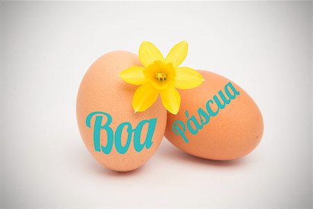 simsearch:400-08020454,k - boa pascua against two eggs and a yellow daffodil Foto de stock - Super Valor sin royalties y Suscripción, Código: 400-08020398