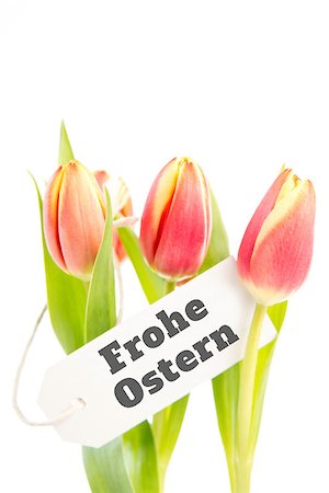 simsearch:400-08017513,k - frohe ostern against tulips with card Foto de stock - Super Valor sin royalties y Suscripción, Código: 400-08020466