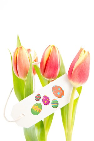 simsearch:400-08017474,k - easter eggs against tulips with card Foto de stock - Super Valor sin royalties y Suscripción, Código: 400-08020462