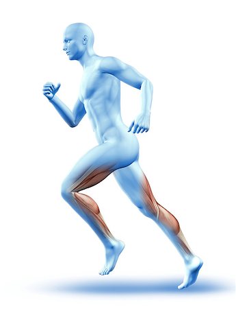3D render of a male figure running with leg muscles showing Stock Photo - Budget Royalty-Free & Subscription, Code: 400-08020592