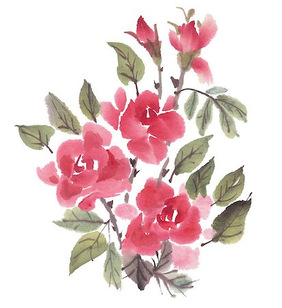 simsearch:400-07680595,k - Watercolor  roses  isolated on a white background.  Vector illustration. Foto de stock - Royalty-Free Super Valor e Assinatura, Número: 400-08020772