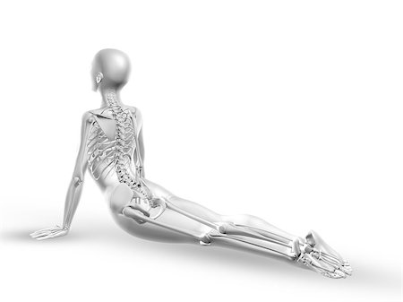 simsearch:400-08020620,k - 3D render of a female medical figure with skeleton in yoga position Foto de stock - Royalty-Free Super Valor e Assinatura, Número: 400-08022104