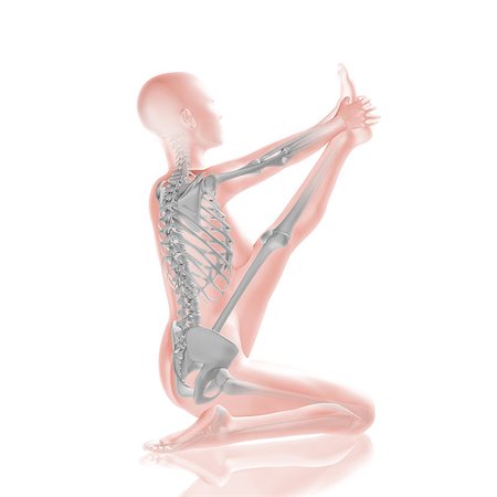 simsearch:400-08290312,k - 3D render of a female medical figure with muscle map in yoga positon Stock Photo - Budget Royalty-Free & Subscription, Code: 400-08022100