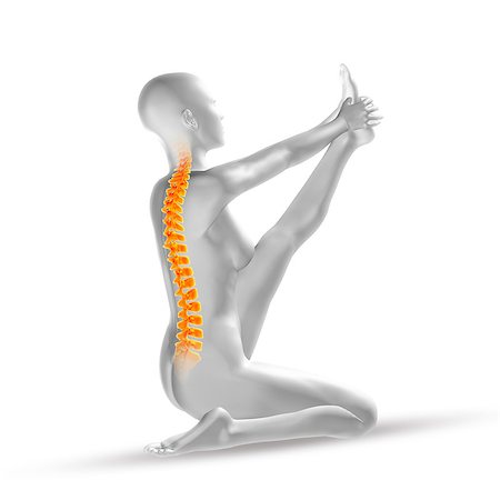 simsearch:400-08107579,k - 3D render of a female medical figure with spine in yoga positon Foto de stock - Super Valor sin royalties y Suscripción, Código: 400-08022101