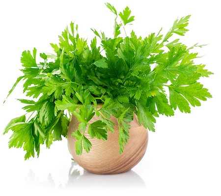 simsearch:400-09096754,k - Bunch fresh parsley. Isolated on white background Foto de stock - Super Valor sin royalties y Suscripción, Código: 400-08022228