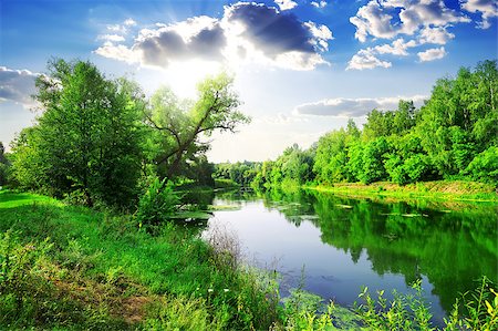 simsearch:400-07932789,k - Green forest on river at sunny summer day Stock Photo - Budget Royalty-Free & Subscription, Code: 400-08022281