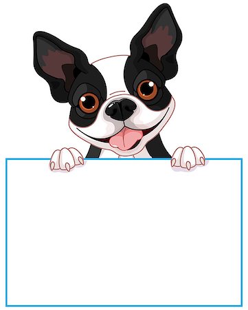 simsearch:400-08054562,k - Cute Boston terrier holds a sign Foto de stock - Super Valor sin royalties y Suscripción, Código: 400-08022408