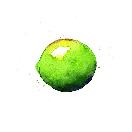 drawing lemon - Lime. Watercolor illustration on a white background Stock Photo - Budget Royalty-Free & Subscription, Code: 400-08022518