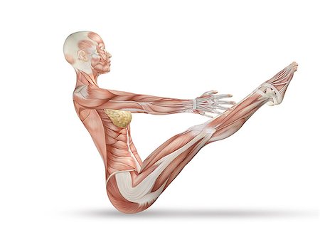 simsearch:400-08290312,k - 3D render of a female medical figure with skeleton in yoga pose Stock Photo - Budget Royalty-Free & Subscription, Code: 400-08022524