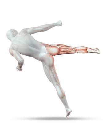 simsearch:400-08647675,k - 3D render of a male medical figure in kick boxing pose with partial muscle map Stockbilder - Microstock & Abonnement, Bildnummer: 400-08022528
