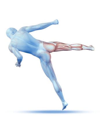 simsearch:400-08647675,k - 3D render of a male medical figure in kick boxing pose with partial muscle map Stockbilder - Microstock & Abonnement, Bildnummer: 400-08022521