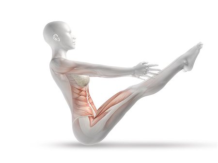 simsearch:400-08107579,k - 3D render of a female medical figure with skeleton in yoga pose Foto de stock - Super Valor sin royalties y Suscripción, Código: 400-08022523