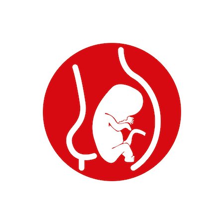 fruchtkuchen - Fetus vector icon isolated. Stockbilder - Microstock & Abonnement, Bildnummer: 400-08034101