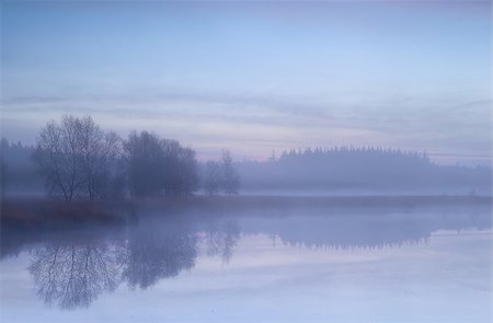 simsearch:400-08041728,k - misty morning on autumn swamp, Friesland, Netherlands Stock Photo - Budget Royalty-Free & Subscription, Code: 400-08034767