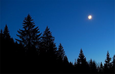 moon and star sky over forest silhouette at night, Alps Photographie de stock - Aubaine LD & Abonnement, Code: 400-08034762