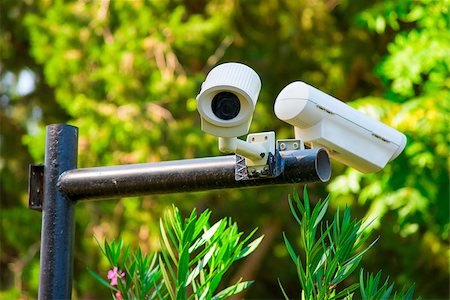 Two surveillance cameras in city park Stock Photo - Budget Royalty-Free & Subscription, Code: 400-08034779