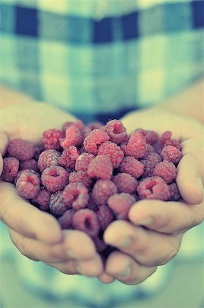 raspberry fingers - Raspberry in palm Stock Photo - Budget Royalty-Free & Subscription, Code: 400-08034809