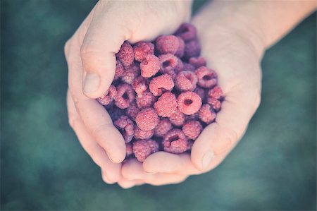 raspberry fingers - Raspberry in palm Stock Photo - Budget Royalty-Free & Subscription, Code: 400-08034810