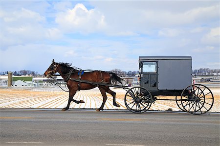 An Amish Carriage travels in snow covered rural Lancaster County, Pennsylvania, USA. Photographie de stock - Aubaine LD & Abonnement, Code: 400-08035185
