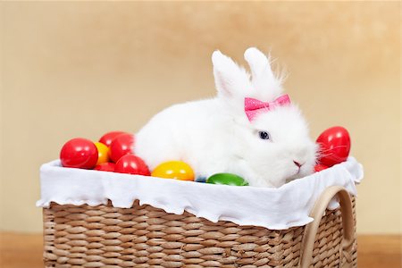 simsearch:400-08036284,k - Closeup of cute easter bunny sitting in basket with colorful eggs Stockbilder - Microstock & Abonnement, Bildnummer: 400-08036288