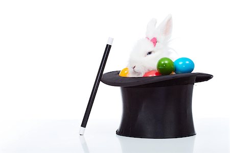 simsearch:400-08036285,k - Cute white rabbit with colorful easter eggs peeking out of a magician hat - isolated Stockbilder - Microstock & Abonnement, Bildnummer: 400-08036301
