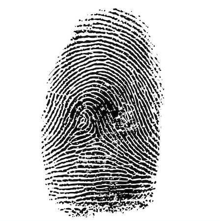 Vector illustration of fingerprint isolated on white Stockbilder - Microstock & Abonnement, Bildnummer: 400-08036355