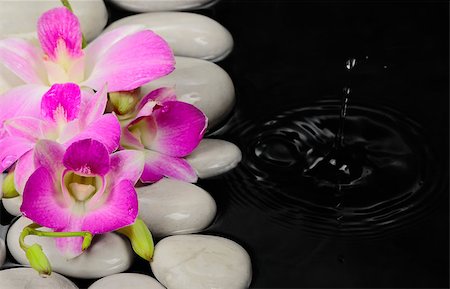 simsearch:625-02927396,k - Spa stones in the water with orchid on black background Foto de stock - Super Valor sin royalties y Suscripción, Código: 400-08036440
