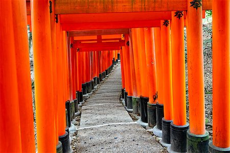 simsearch:400-07771861,k - Fushimi Inari Taisha Shrine in Kyoto, Japan Foto de stock - Super Valor sin royalties y Suscripción, Código: 400-08036486