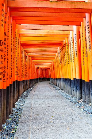 simsearch:400-07771861,k - Fushimi Inari Taisha Shrine in Kyoto, Japan Foto de stock - Super Valor sin royalties y Suscripción, Código: 400-08036488