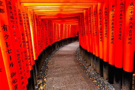 simsearch:400-05304973,k - Red Tori Gate at Fushimi Inari Shrine in Kyoto, Japan Foto de stock - Royalty-Free Super Valor e Assinatura, Número: 400-08036489