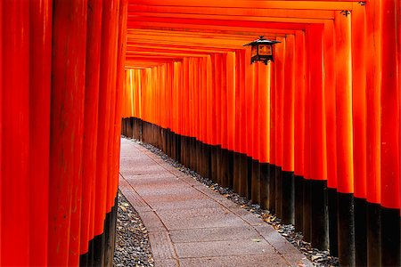 simsearch:400-05304973,k - Red Tori Gate at Fushimi Inari Shrine in Kyoto, Japan Foto de stock - Royalty-Free Super Valor e Assinatura, Número: 400-08036490