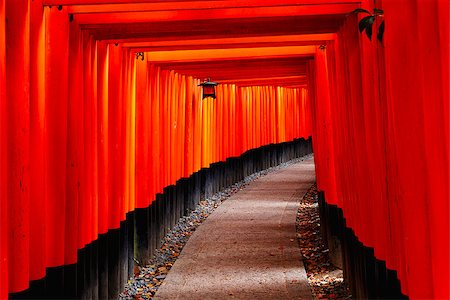 simsearch:400-05304973,k - Red Tori Gate at Fushimi Inari Shrine in Kyoto, Japan Foto de stock - Royalty-Free Super Valor e Assinatura, Número: 400-08036492