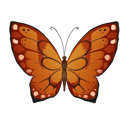 simsearch:400-05887739,k - Bright butterfly for decoration design Stock Photo - Budget Royalty-Free & Subscription, Code: 400-08036521