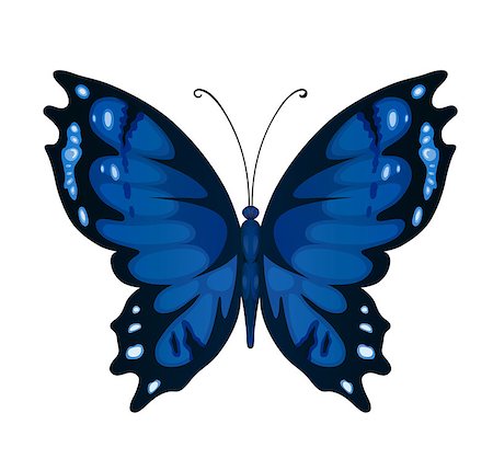 drawing of a butterfly - Bright butterfly for decoration design Stock Photo - Budget Royalty-Free & Subscription, Code: 400-08036522