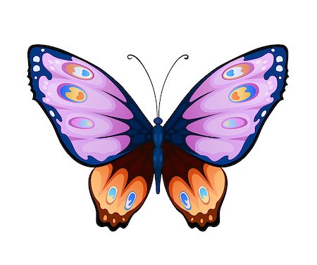 simsearch:400-05887739,k - Bright butterfly for decoration design Stock Photo - Budget Royalty-Free & Subscription, Code: 400-08036523