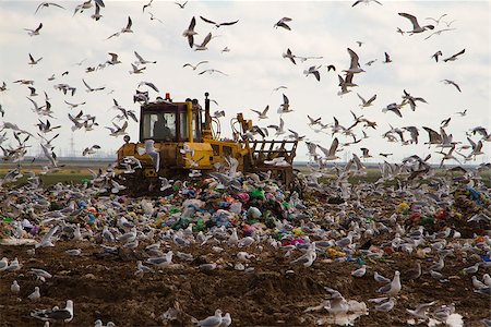 simsearch:694-03327856,k - Shot of bulldozers working a landfill site Stock Photo - Budget Royalty-Free & Subscription, Code: 400-08036628