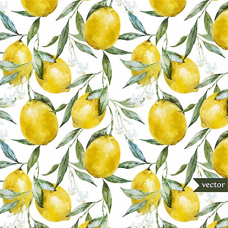 drawing lemon - Beautiful watercolor vector pattern with yellow lemons on brunch Stock Photo - Budget Royalty-Free & Subscription, Code: 400-08036797