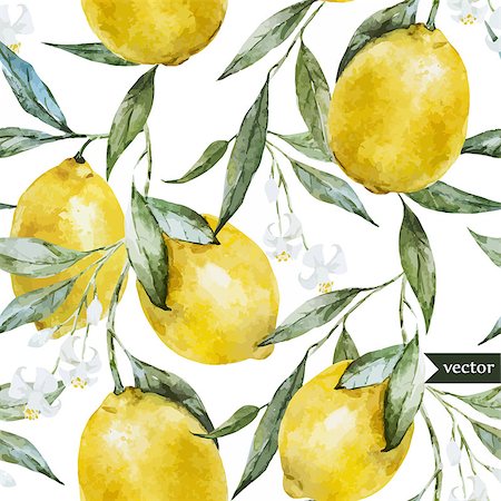 drawing lemon - Beautiful watercolor vector pattern with yellow lemons on brunch Stock Photo - Budget Royalty-Free & Subscription, Code: 400-08036799