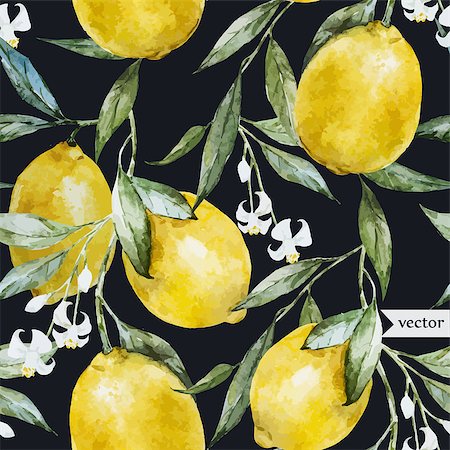 Beautiful watercolor vector pattern with yellow lemons on brunch Stock Photo - Budget Royalty-Free & Subscription, Code: 400-08036800