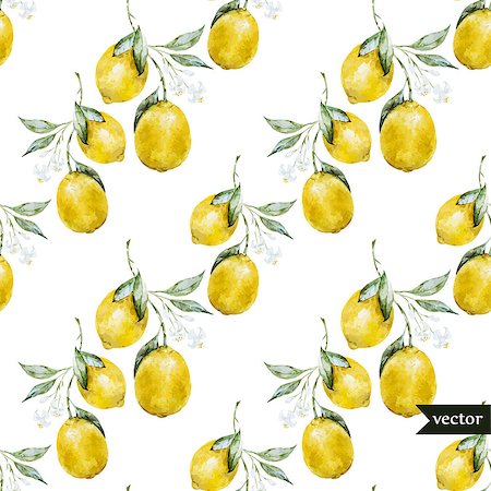 Beautiful watercolor vector pattern with yellow lemons on brunch Stock Photo - Budget Royalty-Free & Subscription, Code: 400-08036801
