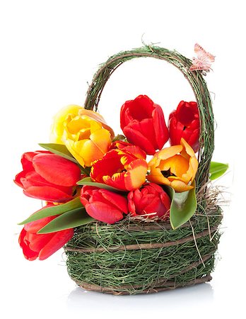 simsearch:400-08036453,k - Fresh colorful tulips bouquet in basket. Isolated on white background Stock Photo - Budget Royalty-Free & Subscription, Code: 400-08037235